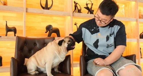 巴哥全新爆料视频播放,独家内幕大公开！  第1张