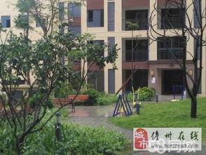 儋州家园广场爆料案件视频,真相大白，疑云散去  第3张